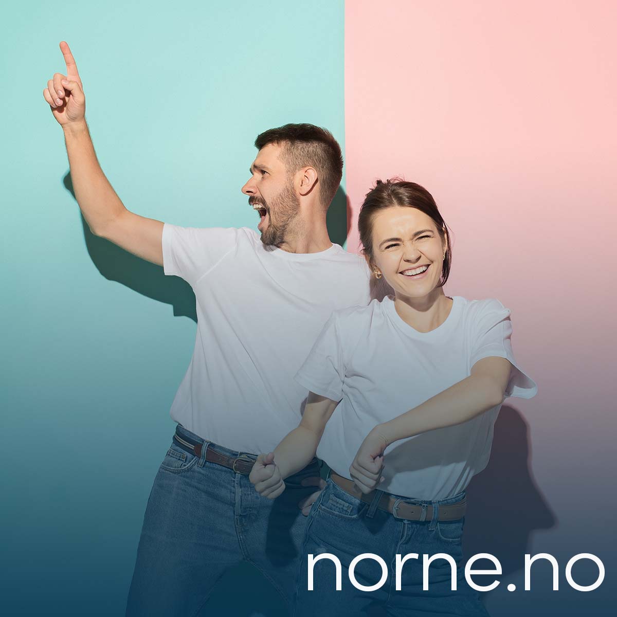 norne.no poster